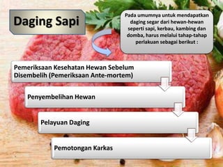 Antemortem Sapi Teknologi Industri Pengolahan Daging | PPTX