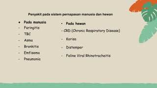 Penyakit pada sistem pernapasan manusia dan hewan
● Pada manusia
- Faringitis
- TBC
- Asma
- Bronkitis
- Emfisema
- Pneumonia
• Pada hewan
- CRD (Chronic Respiratory Disease)
- Korisa
- Distemper
- Feline Viral Rhinotracheitis
 