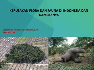 KERUSAKAN FLORA DAN FAUNA DI INDONESIA DAN
DAMPAKNYA
Created By : Anas Arif Shodiqin, S.Pd
SKOI KALTIM
 
