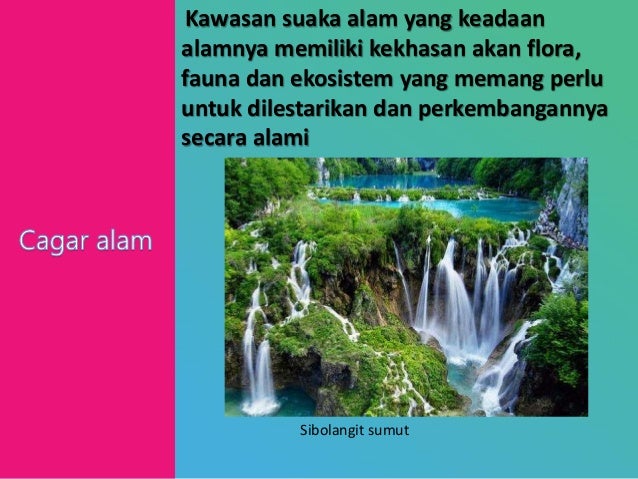Ppt kerusakan flora dan fauna dan usaha konsrvasi alam Ppt kerusakan flora dan fauna dan usaha konsrvasi alam