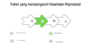 Faktor yang mempengaruhi Kesehatan Reproduksi
01
03
02
04
Faktorbudayadanlingkungan
Faktor biologis
 