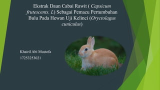 Ekstrak Daun Cabai Rawit ( Capsicum
frutescents. L) Sebagai Pemacu Pertumbuhan
Bulu Pada Hewan Uji Kelinci (Oryctolagus
cuniculus)
Khairil Abi Mustofa
17253253021
 