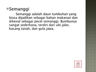 Semanggi Semanggi adalah daun tumbuhan yang biasa dijadikan sebagai bahan makanan dan dikenal sebagai pecel semanggi. Bumbunya sangat sederhana, terdiri dari ubi jalar, kacang tanah, dan gula jawa. 