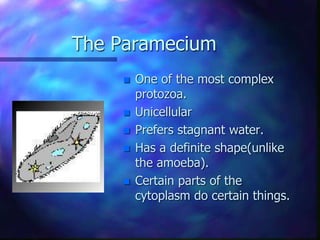 The Paramecium
 One of the most complex
protozoa.
 Unicellular
 Prefers stagnant water.
 Has a definite shape(unlike
the amoeba).
 Certain parts of the
cytoplasm do certain things.
 