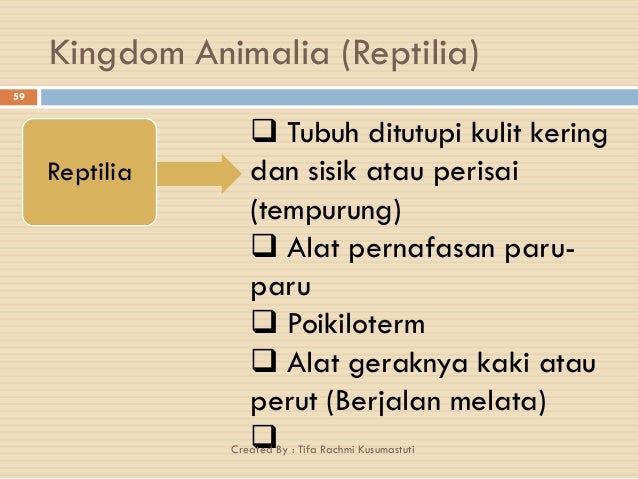 Ppt Klasifikasi Makhluk Hidup Kelas 7