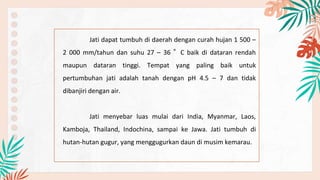 Jati dapat tumbuh di daerah dengan curah hujan 1 500 –
2 000 mm/tahun dan suhu 27 – 36 °C baik di dataran rendah
maupun dataran tinggi. Tempat yang paling baik untuk
pertumbuhan jati adalah tanah dengan pH 4.5 – 7 dan tidak
dibanjiri dengan air.
Jati menyebar luas mulai dari India, Myanmar, Laos,
Kamboja, Thailand, Indochina, sampai ke Jawa. Jati tumbuh di
hutan-hutan gugur, yang menggugurkan daun di musim kemarau.
 