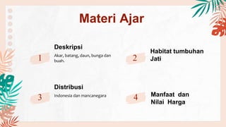 Deskripsi
Akar, batang, daun, bunga dan
buah.
Habitat tumbuhan
Jati
Distribusi
Indonesia dan mancanegara Manfaat dan
Nilai Harga
Materi Ajar
1
3
2
4
 