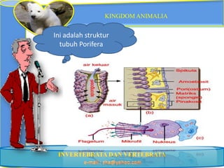 KINGDOM ANIMALIA


Ini adalah struktur
  tubuh Porifera
 