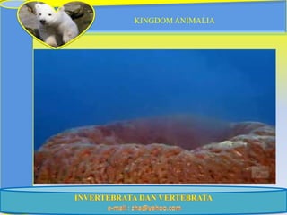 KINGDOM ANIMALIA
 