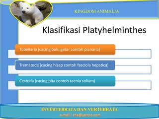 KINGDOM ANIMALIA



             Klasifikasi Platyhelminthes
Tubellaria (cacing bulu getar contoh planaria)


Trematoda (cacing hisap contoh fasciola hepatica)


Cestoda (cacing pita contoh taenia solium)
 