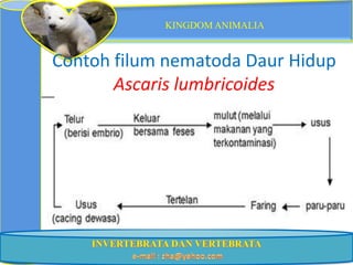 KINGDOM ANIMALIA


Contoh filum nematoda Daur Hidup
       Ascaris lumbricoides
 