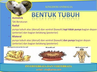 KINGDOM ANIMALIA



• Asimetrik
  Tak Beraturan
• Radial
  punya tubuh atas (dorsal) dan ventral (bawah) tapi tidak punya bagian depan
  (anterior) dan bagian belakang (posterior)
• Bilateral
  punya tubuh atas (dorsal) dan ventral (bawah) dan punya bagian depan
  (anterior) dan bagian belakang (posterior)
 