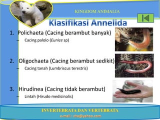 KINGDOM ANIMALIA



1. Polichaeta (Cacing berambut banyak)
  –   Cacing palolo (Eunice sp)



2. Oligochaeta (Cacing berambut sedikit)
  –   Cacing tanah (Lumbriscus terestris)



3. Hirudinea (Cacing tidak berambut)
  –   Lintah (Hirudo medicinalis)
 