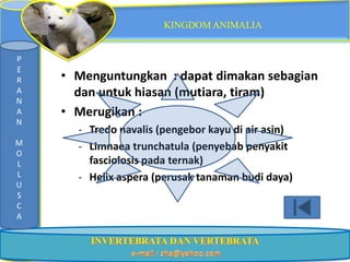KINGDOM ANIMALIA


P
E
R   • Menguntungkan : dapat dimakan sebagian
A     dan untuk hiasan (mutiara, tiram)
N
A   • Merugikan :
N
      - Tredo navalis (pengebor kayu di air asin)
M     - Limnaea trunchatula (penyebab penyakit
O
L       fasciolosis pada ternak)
L     - Helix aspera (perusak tanaman budi daya)
U
S
C
A
 