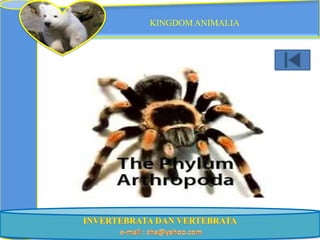KINGDOM ANIMALIA
 