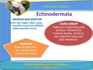 KINGDOM ANIMALIA


                       Echinodermata
• UKURAN DAN BENTUK
Terdiri dari bagian ORAL (yang         CARA HIDUP
   memiliki mulut) dan ABORAL
   (tidak memiliki mulut)
                                  Makannya bergantung pada
                                    jenisnya. Makanannya
                                  misalnya kerang, plankton,
                                   dan organisme yang mati
                                       atau membusuk.
         HABITAT
    Bebas di dasar laut,
     dari daerah pantai
     sampai laut dalam
 