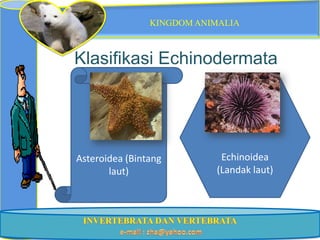 KINGDOM ANIMALIA



Klasifikasi Echinodermata




Asteroidea (Bintang         Echinoidea
       laut)               (Landak laut)
 