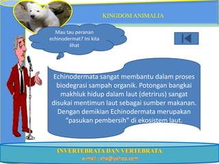 KINGDOM ANIMALIA

  Mau tau peranan
echinodermat? Ini kita
        lihat




Echinodermata sangat membantu dalam proses
  biodegrasi sampah organik. Potongan bangkai
   makhluk hidup dalam laut (detrirus) sangat
disukai mentimun laut sebagai sumber makanan.
  Dengan demikian Echinodermata merupakan
     “pasukan pembersih” di ekosistem laut.
 