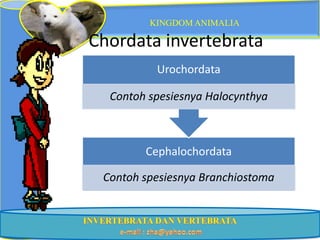 KINGDOM ANIMALIA

Chordata invertebrata
          Urochordata

  Contoh spesiesnya Halocynthya



        Cephalochordata

 Contoh spesiesnya Branchiostoma
 