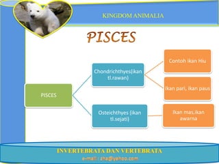 KINGDOM ANIMALIA




                                Contoh ikan Hiu
         Chondrichthyes(ikan
             tl.rawan)
                               Ikan pari, ikan paus
PISCES


          Osteichthyes (ikan      Ikan mas,ikan
               tl.sejati)            awarna
 