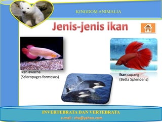 KINGDOM ANIMALIA




Ikan awarna
                                        ikan cupang
(Scleropages formosus)
                                        (Betta Splendens)
 