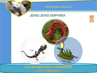 KINGDOM ANIMALIA


JENIS-JENIS AMPHIBIA


            salamander




cicak



                         Katak
 