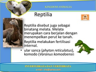 KINGDOM ANIMALIA


        Reptilia
• Reptilia disebut juga sebagai
  binatang melata. Melata
  merupakan cara berjalan dengan
  menempelkan perut ke tanah.
• Reptilia melakukan fertilisasi
  internal.
• ular sanca (phyton reticulatus),
  komodo (Varanus komodoensis).
 