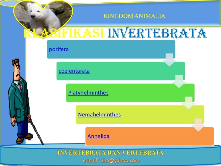 Ppt kngdom animal
