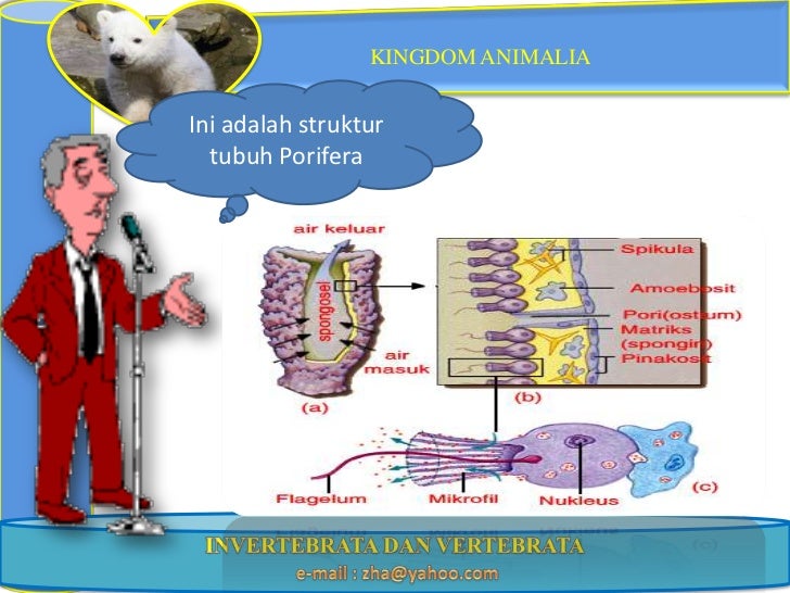 Contoh Iklan Lowongan Kerja Ilmu Komputer - Inventors Day