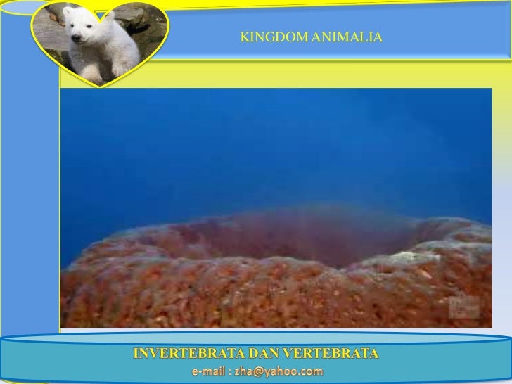 Ppt kngdom animal Ppt kngdom animal