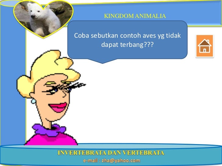 Ppt kngdom animal