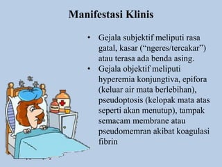 Manifestasi Klinis
• Gejala subjektif meliputi rasa
gatal, kasar (“ngeres/tercakar”)
atau terasa ada benda asing.
• Gejala objektif meliputi
hyperemia konjungtiva, epifora
(keluar air mata berlebihan),
pseudoptosis (kelopak mata atas
seperti akan menutup), tampak
semacam membrane atau
pseudomemran akibat koagulasi
fibrin
 