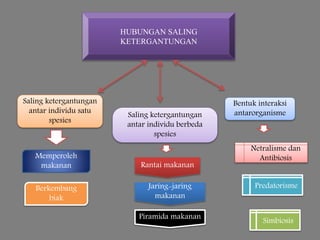 Ppt konsep dasar ipa | PPTX