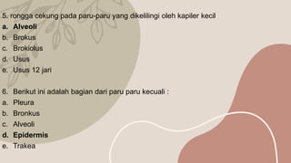 ppt kparu paru.pptx