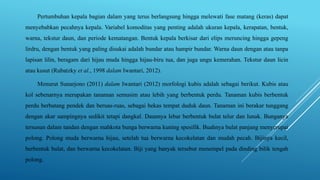 Pertumbuhan kepala bagian dalam yang terus berlangsung hingga melewati fase matang (keras) dapat
menyebabkan pecahnya kepala. Variabel komoditas yang penting adalah ukuran kepala, kerapatan, bentuk,
warna, tekstur daun, dan periode kematangan. Bentuk kepala berkisar dari elips meruncing hingga gepeng
lirdru, dengan bentuk yang paling disukai adalah bundar atau hampir bundar. Warna daun dengan atau tanpa
lapisan lilin, beragam dari hijau muda hingga hijau-biru tua, dan juga ungu kemerahan. Tekstur daun licin
atau kusut (Rubatzky et al., 1998 dalam Iwantari, 2012).
Menurut Sunarjono (2011) dalam Iwantari (2012) morfologi kubis adalah sebagai berikut. Kubis atau
kol sebenarnya merupakan tanaman semusim atau lebih yang berbentuk perdu. Tanaman kubis berbentuk
perdu berbatang pendek dan beruas-ruas, sebagai bekas tempat duduk daun. Tanaman ini berakar tunggang
dengan akar sampingnya sedikit tetapi dangkal. Daunnya lebar berbentuk bulat telur dan lunak. Bunganya
tersusun dalam tandan dengan mahkota bunga berwarna kuning spesifik. Buahnya bulat panjang menyerupai
polong. Polong muda berwarna hijau, setelah tua berwarna kecokelatan dan mudah pecah. Bijinya kecil,
berbentuk bulat, dan berwarna kecokelatan. Biji yang banyak tersebut menempel pada dinding bilik tengah
polong.
 