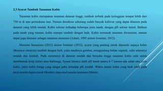 2.3 Syarat Tumbuh Tanaman Kubis
Tanaman kubis merupakan tanaman dataran tinggi, tumbuh terbaik pada ketinggian tempat lebih dari
750 m di atas permukaan laut. Namun demikian sekarang sudah banyak kultivar yang dapat ditanam pada
dataran yang lebih rendah. Kubis toleran terhadap beberapa jenis tanah, dengan pH sekitar netral. Bahkan
pada tanah yang masam, kubis mampu tumbuh dengan baik. Kubis termasuk tanaman dwimusim, namun
dapat juga ditanam sebagai tanaman semusim (Ashari, 1995 dalam Iwantari, 2012).
Menurut Sunarjono (2011) dalam Iwantari (2012), syarat yang penting untuk dipenuhi supaya kubis
(Brassica oleracea) tumbuh dengan baik, yaitu tanahnya gembur, mengandung bahan organik, suhu udaranya
rendah dan lembab. Pada umumnya di dataran rendah dan bersuhu tinggi tanaman kubis sulit untuk
membentuk krop (telur) atau berbunga. Syarat lainnya ialah pH tanah antara 6-7 karena ada salah satu jenis
kubis, yaitu kubis bunga yang sangat peka terhadap pH rendah. Waktu tanam kubis yang baik ialah pada
awal musim hujan (awal Oktober) atau awal musim kemarau (Maret).
 