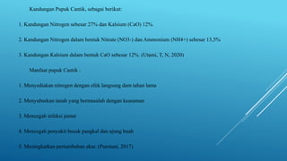Kandungan Pupuk Cantik, sebagai berikut:
1. Kandungan Nitrogen sebesar 27% dan Kalsium (CaO) 12%.
2. Kandungan Nitrogen dalam bentuk Nitrate (NO3-) dan Ammonium (NH4+) sebesar 13,5%
3. Kandungan Kalsium dalam bentuk CaO sebesar 12%. (Utami, T, N, 2020)
Manfaat pupuk Cantik :
1. Menyediakan nitrogen dengan efek langsung dam tahan lama
2. Menyuburkan tanah yang bermasalah dengan keasaman
3. Mencegah infeksi jamur
4. Mencegah penyakit busuk pangkal dan ujung buah
5. Meningkatkan pertumbuhan akar. (Purotani, 2017)
 