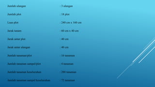 Jumlah ulangan : 3 ulangan
Jumlah plot : 18 plot
Luas plot : 240 cm x 160 cm
Jarak tanam : 60 cm x 40 cm
Jarak antar plot : 40 cm
Jarak antar ulangan : 40 cm
Jumlah tanaman/plot : 16 tanaman
Jumlah tanaman sampel/plot : 4 tanaman
Jumlah tanaman keseluruhan : 288 tanaman
Jumlah tanaman sampel keseluruhan : 72 tanaman
 
