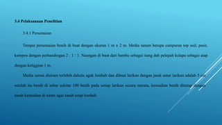 3.4 Pelaksanaan Penelitian
3.4.1 Persemaian
Tempat persemaian benih di buat dengan ukuran 1 m x 2 m. Media tanam berupa campuran top soil, pasir,
kompos dengan perbandingan 2 : 1 : 1. Naungan di buat dari bambu sebagai tiang dah pelepah kelapa sebagai atap
dengan ketiggian 1 m.
Media semai disiram terlebih dahulu agak lembab dan dibuat larikan dengan jarak antar larikan adalah 5 cm
setelah itu benih di sebar sekitar 100 benih pada setiap larikan secara merata, kemudian benih ditutup dengan
tanah kemudian di siram agar tanah tetap lembab.
 