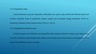 3.4.2 Pengolahan Lahan
Areal pertanaman yang akan digunakan, dibersihkan dari gulma yang tumbuh dan bebatuan pada areal
tersebut, kemudian tanah di gemburkan dengan cangkul atau membajak hingga kedalaman 30-40 cm.
Selanjutnya bedengan dibuat dengan ukuran 220 cm x 160 cm.
3.4.3 Pengaplikasian Pupuk Kompos
Pemberian pupuk awal dilakukan saat pengolahan lahan dengan pemberian kompos ayam dengan dosis
10 ton/ha. Pemberian pupuk kompos ayam ditabur secara merata pada setiap bedengan saat pengolahan lahan
kedua, lalu didibiarkan selama seminggu.
 