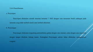 3.4.6 Pemeliharaan
a. Penyisipan
Penyisipan dilakukan setelah tanaman berumur 7 HST dengan cara menanam benih cadangan pada
tanaman yang tidak tumbuh (mati) atau tumbuh abnormal.
b. Penyiangan
Penyiangan dilakukan tergantung pertumbuhan gulma dengan cara manual, yaitu dengan cara mencabut
dengan tangan disekitar lubang tanam. Sedangkan Penyiangan sekitar lahan dilakukan menggunakan
cangkul.
 