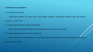 3.5 Parameter yang diamati
3.5.1 Jumlah Daun (Helai)
Jumlah daun diamati, dari semua daun yang terbuka sempurna, Pengamatan dilakukan pada saat tanaman
berumur 2, 4, dan 6 MST.
3.5.2 Bobot Kotor Kubis Per tanaman Sampel (kg)
Bobot kotor kubis diperoleh dengan menimbang kubis dari setiap tanaman/ sampel.
3.5.3 Bobot Bersih Kubis Per Tanaman Sampel (kg)
Bobot bersih kubis diperoleh dengan menimbang kubis bulat tanpa daun dan akar tanaman dalam setiap
tanaman sampel per plot.
 