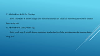 3.5.4 Bobot Kotor Kubis Per Plot (kg)
Bobot kotor kubis di peroleh dengan cara mencabut tanaman dari tanah dan menimbang keseluruhan tanaman
dalam setiap plot.
3.5.5 Bobot Bersih Kubis per Plot (kg)
Bobot bersih krop di peroleh dengan menimbang keseluruhan krop bulat tanpa daun dan akar tanaman dalam
setiap plot.
 