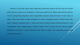 Pasokan Ca yang tidak adekuat dapat mengurangi pertumbuhan tanaman dan hasil buah jauh sebelum
gejala defisiensi menjadi nyata. Kandungan Ca tanah jarang rendah karena aplikasi kapur (kalsium karbonat,
CaCO3) kadang-kadang digunakan untuk mengendalikan keasaman tanah dan karena Ca hadir dalam air
irigasi. Tanah basa Florida memiliki kelimpahan Ca karena mengandung kalsium karbonat bebas (batu
kapur). Meskipun kelimpahan tanah Ca, pohon jeruk dapat menderita berbagai kelainan defisiensi Ca yang
mempengaruhi fungsi jaringan tanaman. Misalnya, kelainan "kusut" di pusar dan jeruk Valencia mungkin
disebabkan oleh defisiensi Ca pada albedo pada kulit. Salah satu pupuk yang mengandung calsium adalah
Cantik. (Purotani, 2017)
 