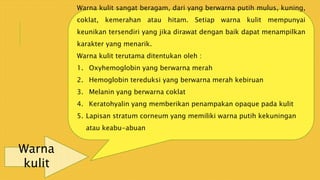 Warna
kulit
Warna kulit sangat beragam, dari yang berwarna putih mulus, kuning,
coklat, kemerahan atau hitam. Setiap warna kulit mempunyai
keunikan tersendiri yang jika dirawat dengan baik dapat menampilkan
karakter yang menarik.
Warna kulit terutama ditentukan oleh :
1. Oxyhemoglobin yang berwarna merah
2. Hemoglobin tereduksi yang berwarna merah kebiruan
3. Melanin yang berwarna coklat
4. Keratohyalin yang memberikan penampakan opaque pada kulit
5. Lapisan stratum corneum yang memiliki warna putih kekuningan
atau keabu-abuan
 