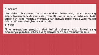 6. SCABIES
disebabkan oleh parasit Sarcoptes scabiei. Betina yang hamil bersarang
dalam lapisan tanduk dari epidermis. Di sini ia bertelur beberapa butir
setiap hari yang menetas mengeluarkan banyak pinjal muda yang makan
dalam orifisium dari glandula skretoris.
7. AKNE
Akne merupakan penyakit dari folikel sebasea yaitu folikel yang
mempunyai glandula sebasea yang banyak dan tidak mempunyai bulu.
 