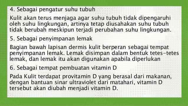 Kulit dan cara kerjanya