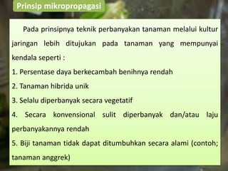 Prinsip mikropropagasi
Pada prinsipnya teknik perbanyakan tanaman melalui kultur
jaringan lebih ditujukan pada tanaman yang mempunyai
kendala seperti :
1. Persentase daya berkecambah benihnya rendah
2. Tanaman hibrida unik
3. Selalu diperbanyak secara vegetatif
4. Secara konvensional sulit diperbanyak dan/atau laju
perbanyakannya rendah
5. Biji tanaman tidak dapat ditumbuhkan secara alami (contoh;
tanaman anggrek)
 