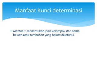 PPT KUNCI DETERMINASI=KLASIFIKASI MH.ppt