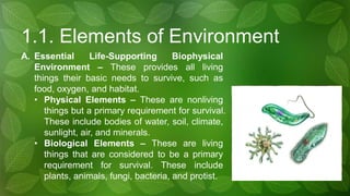 Foundations of Environmental Sustainability | PDF